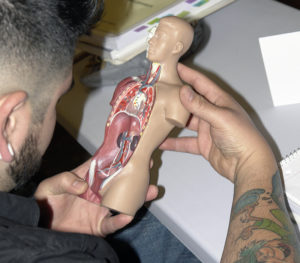 VCI student studying an anatomical model
