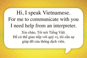 Vietnamese[su_custom_gallery source=media 5522,5525,5524,5523] (1)